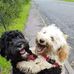 Teri Way - Facebook