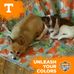 Terri Weems - Facebook