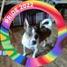Terri Weems - Facebook