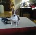 Terri Weems - Facebook