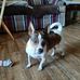 Terri Weems - Facebook