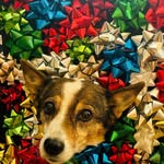 Terri Werner - @mee.moo35 - Instagram