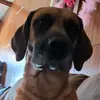 Terri Wesley - @terriwesley0 - TikTok