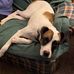 Terrie Wesley - Facebook