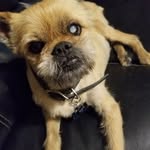 Terri Wickliffe - @wickliffeterri - Instagram