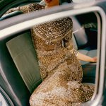 Terri Wiggins - @mollyandlittle - Instagram
