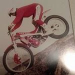 Terri Wiggins - @wiggins6723 - Instagram