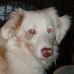 Terrie Theresa Dyer-Wilder - Facebook