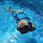 Terri Willis - @terriwillis625 - Instagram