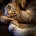 Terri Willis - Facebook