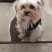Terri Willis - Facebook