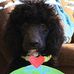 Terri Wills - Facebook