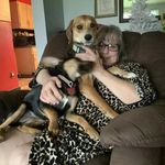 Terri Wills-kibler - @terri_willskibler_ - Instagram