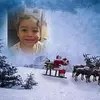 Terrie Wills - @terrie.wills - TikTok