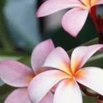 Terri Winters-Flores - @wintersflores - Instagram