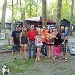 Terri Witt - @wittterri - Instagram