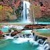 Terry Wohl - Facebook