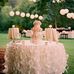 Terri Yoho - Facebook