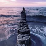 Terri Ball Photography - @camerahappy - Instagram