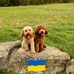 Terrie Ball - Facebook