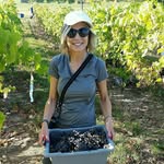 Terrie Ball - @terrie.ball - Instagram