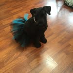Terrie M Ball - @terriemball - Instagram