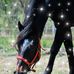 Terrie Beasley - Facebook