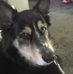 Terri Benton - Facebook