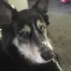 Terri Benton - @terri.benton7 - TikTok