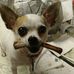 Terrie Black - Facebook