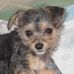 Terrie Black - Facebook