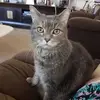 Terrie Brooks - @terrie.brooks7 - TikTok