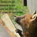 Terrie Bryan - Facebook