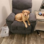 Terrie Bryant - @terrie.bryant.35 - Instagram