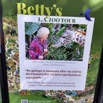 Terrie Carlson Decker - @te.rrie8861 - Instagram