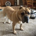 Terry Decker - @ms.nightrph - Instagram