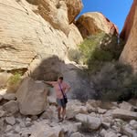 c4~STANGER~odyssey - @terrie_franks_stanger - Instagram