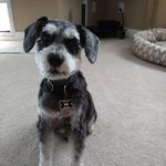 Terrie Garrett - @jim.garrett.735 - Instagram