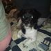 Terrie Garrett - Facebook