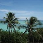Terrie Gilliland Velez - @terriegilliland - Instagram