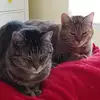 Terri Greene - @terri.greene5 - TikTok
