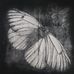 Terrie Hodges - Facebook