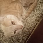 Terry Hodges - @terryhodges33 - Instagram