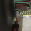 Terrie Hudson - @terrie.hudson2 - TikTok