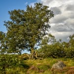 Terry Hudson - @terryhudson9786 - Instagram