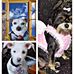 Terrie Jimenez - Facebook