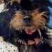 Terrie Jimenez - Facebook