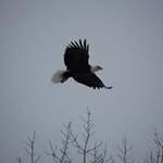 Terrie Johnston - @terrie.johnston - Instagram