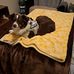 Terrie Johnston - Facebook