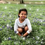 Terrie Kirk - @tkirk75 - Instagram